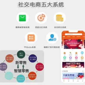 社交电商平台是做什么的doc(图1)